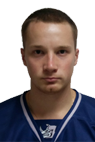 Веселко